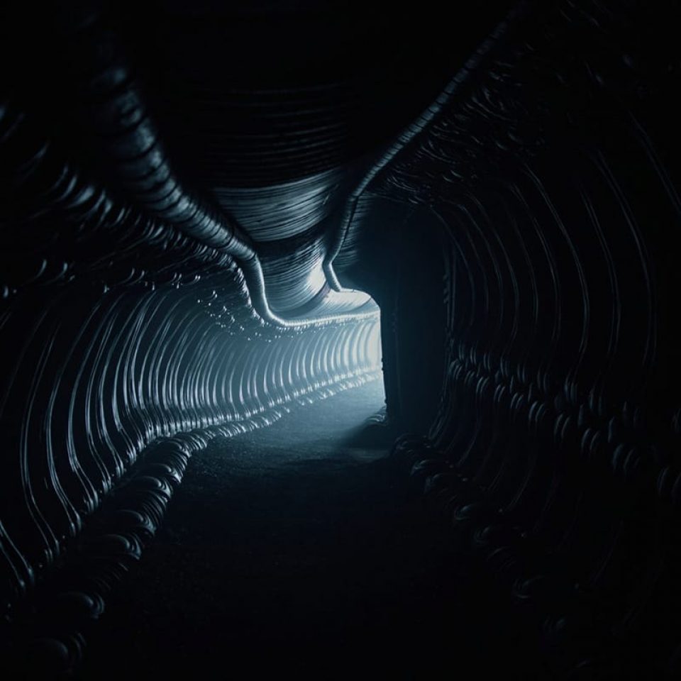 Alien Covenant Screen 5 Blog photographe amateur à Pornichet La Baule Saint Nazaire Guérande en Loire Atlantique 44