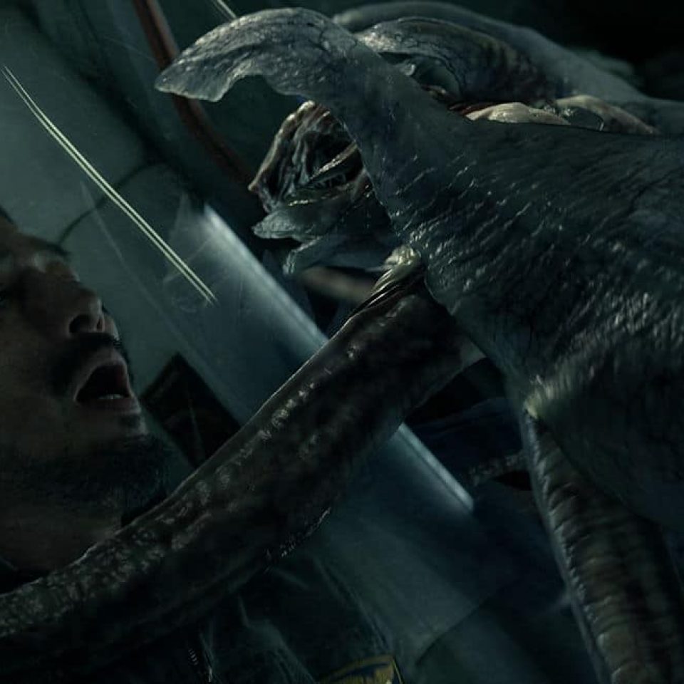 Life Origine Inconnue Screen 9 Blog photographe amateur à Pornichet La Baule Saint Nazaire Guérande en Loire Atlantique 44