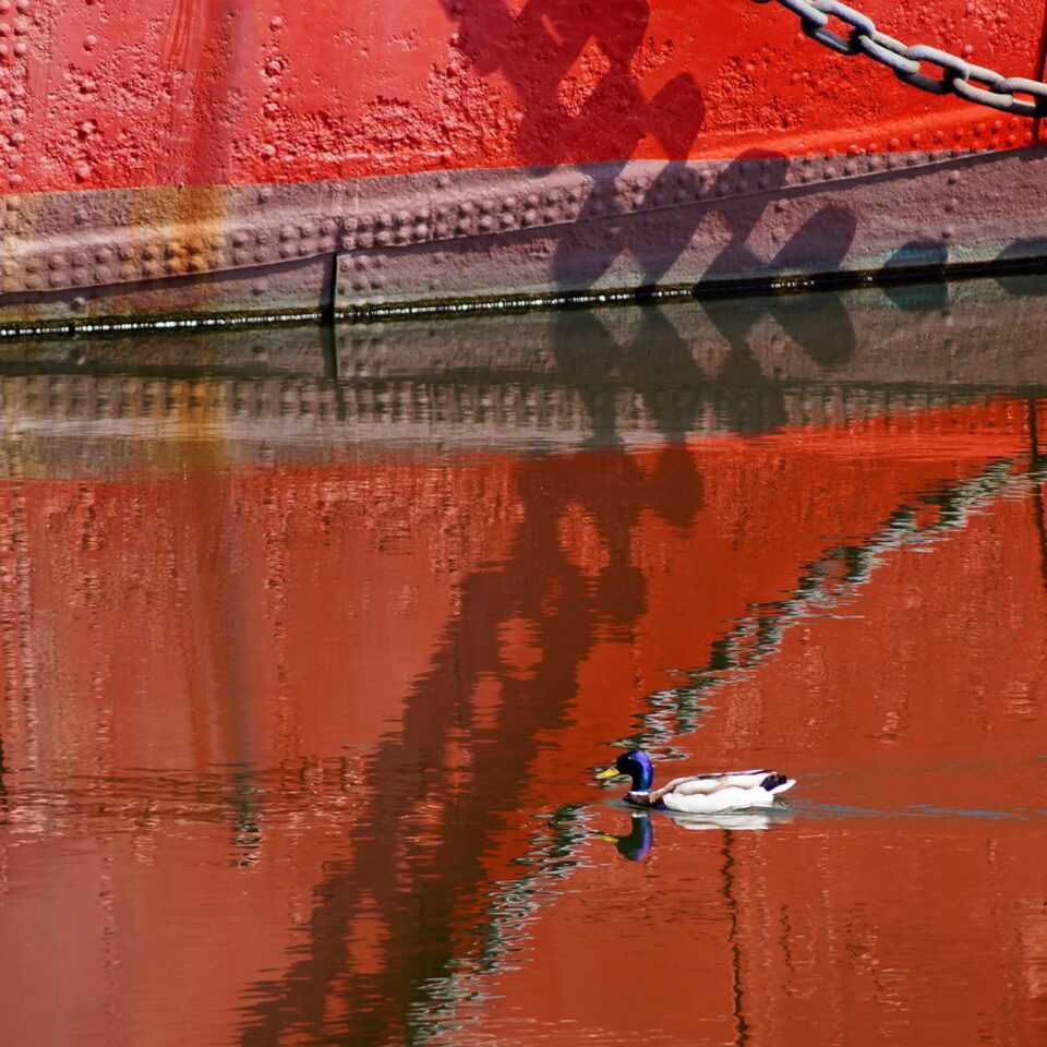 Voir et photographier Voir les reflets 14 Blog photographe amateur à Pornichet La Baule Saint Nazaire Guérande en Loire Atlantique 44