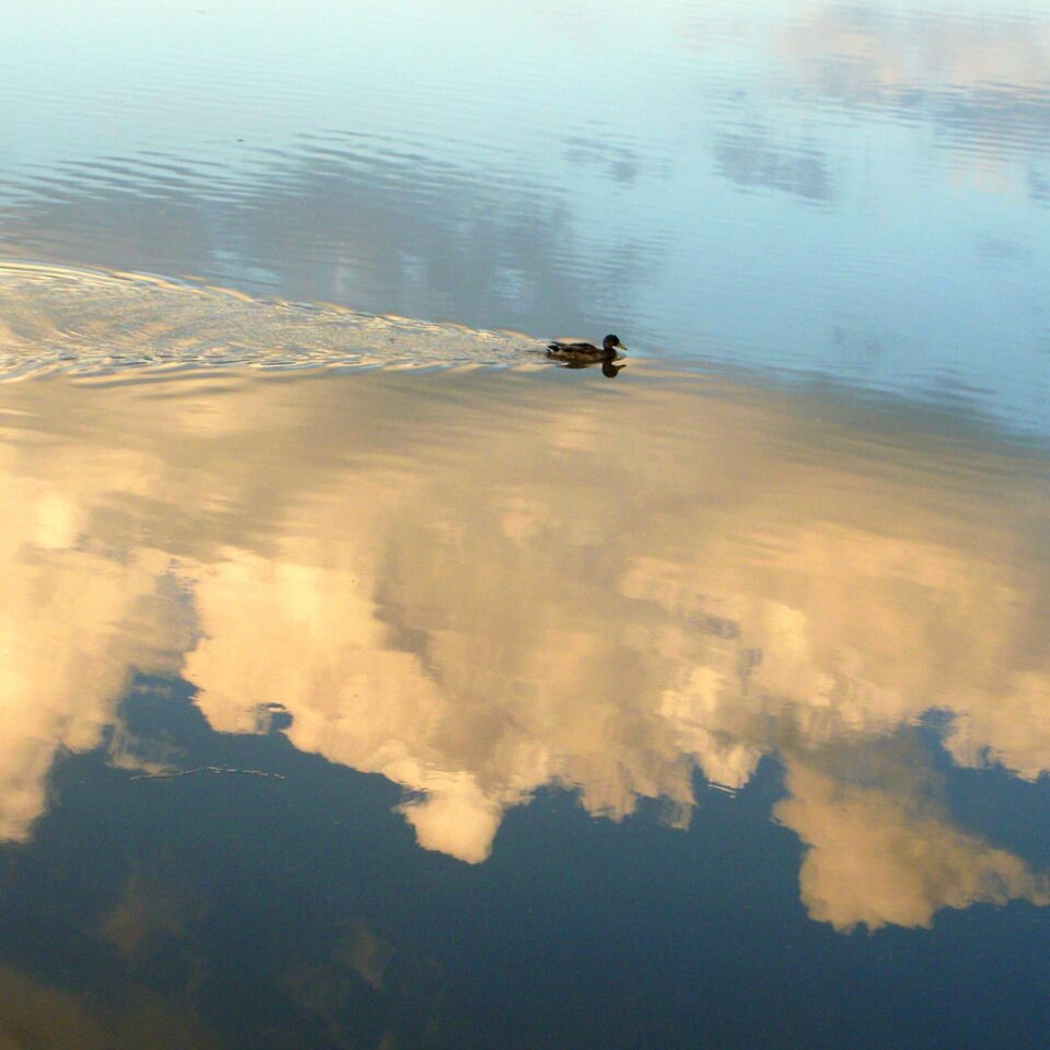 Voir et photographier Voir les reflets 5 Blog photographe amateur à Pornichet La Baule Saint Nazaire Guérande en Loire Atlantique 44