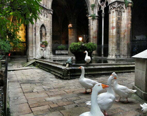 Barri Gotic - Barcelone