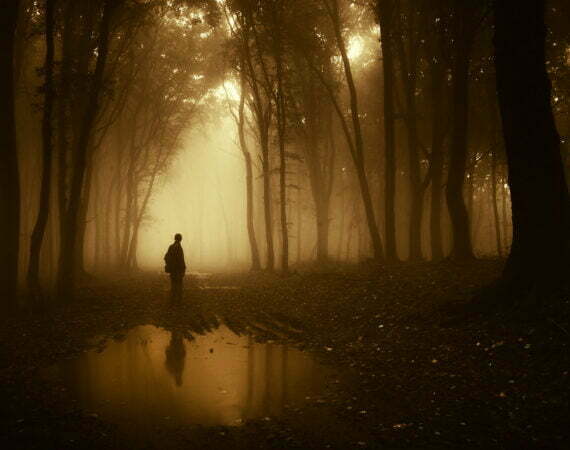 Photographie Forêt