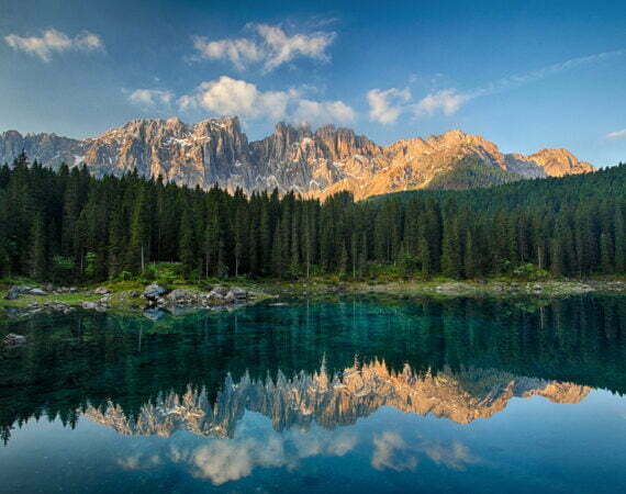 Photographie Forêt