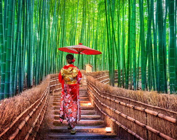 Photographie Forêt