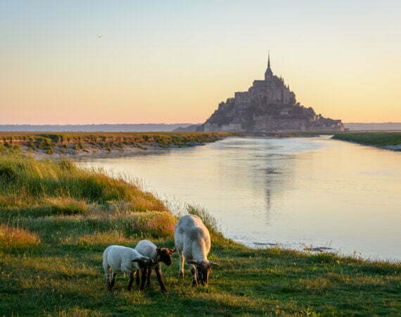 Galerie Mont-Saint-Michel