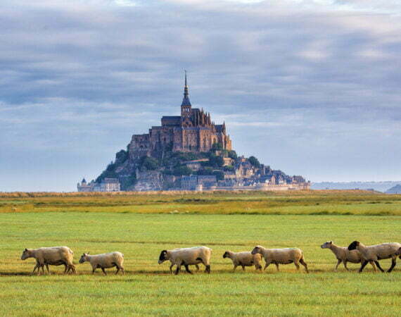 Galerie Mont-Saint-Michel