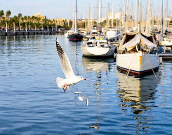 Port Vell - Barcelone